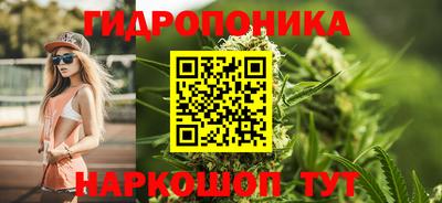 индика Ликино-Дулёво