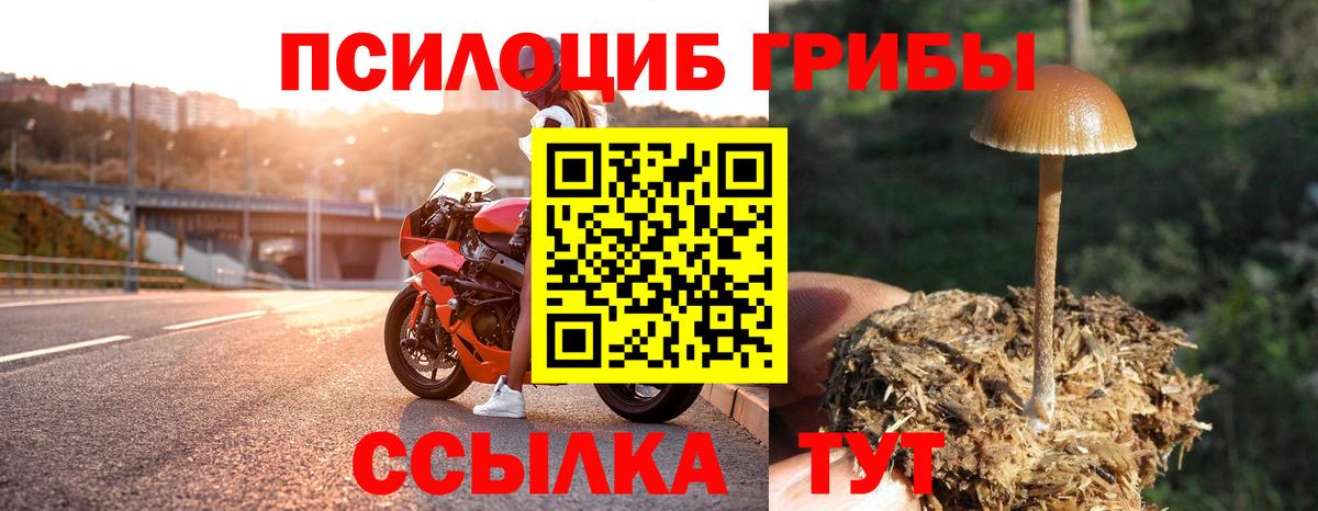 Галлюциногенные грибы Psilocybine cubensis  сколько стоит  Вход с VPN  Барабинск  Галлюциногенные грибы мицелий 