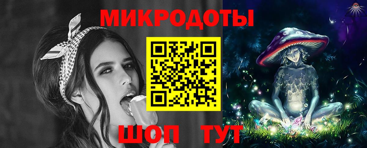 Псилоцибиновые грибы Psilocybine cubensis Барабинск